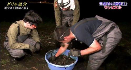 牛哥最新爆料视频大全,揭秘娱乐圈幕后真相